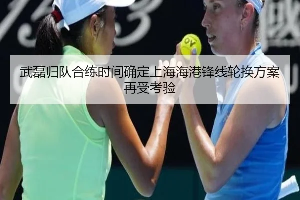 武磊归队合练时间确定上海海港锋线轮换方案再受考验